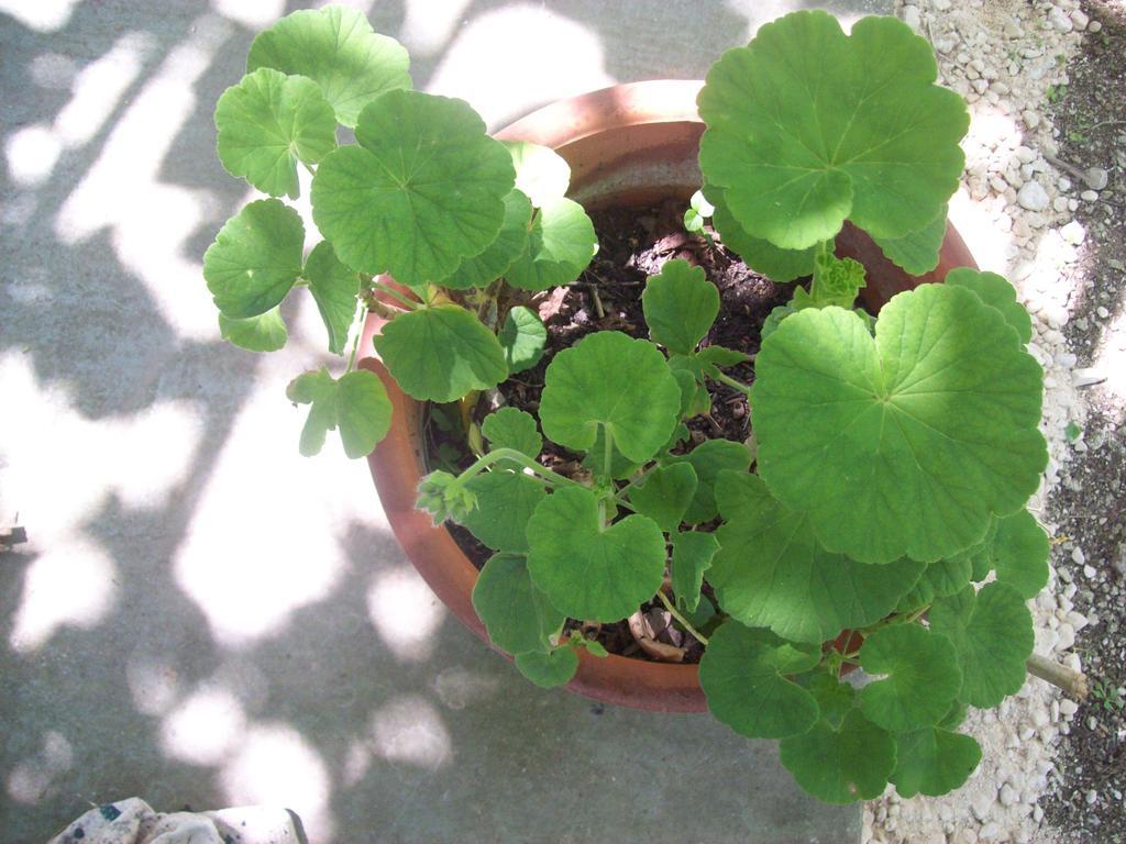 Villa Vania Gardenos Vitalades Luaran gambar