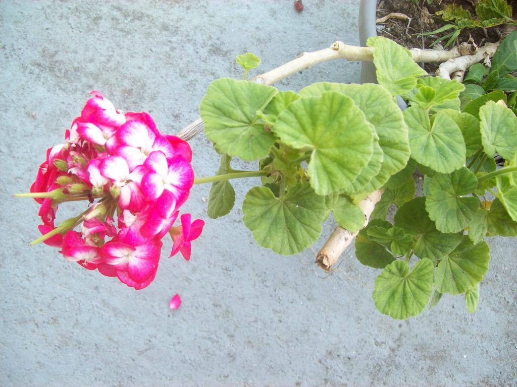 Villa Vania Gardenos Vitalades Luaran gambar